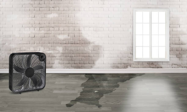 Best Water damage cleanup near me  in Inola, OK