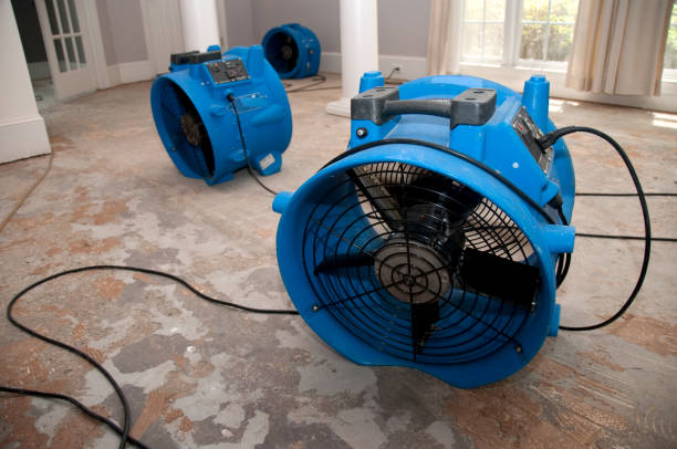Best Water damage contractors near me  in Inola, OK